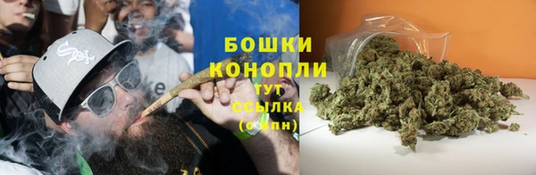 стаф Корсаков