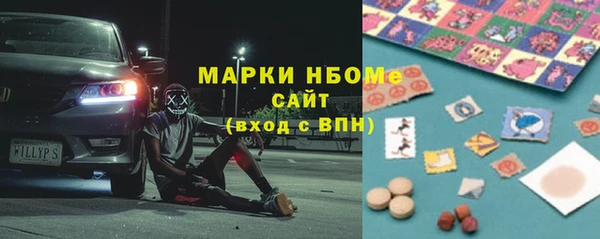 хмурый Кодинск