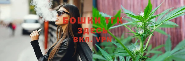 стаф Корсаков
