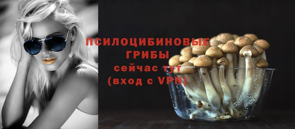 молекула духа Коряжма