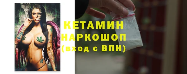 стаф Корсаков