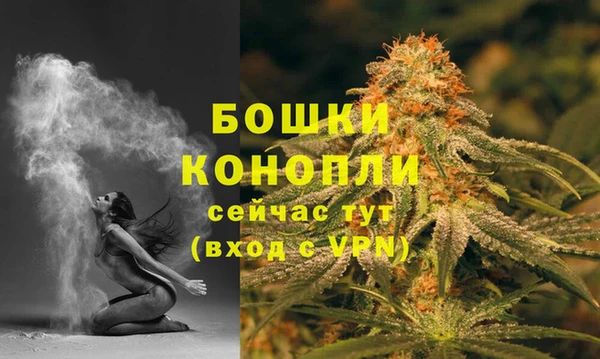 стаф Корсаков