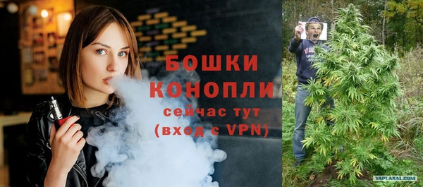 молекула духа Коряжма