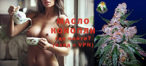 стаф Корсаков