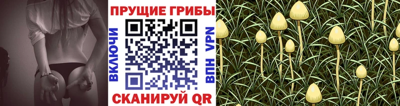 Псилоцибиновые грибы ЛСД  Купить  Валуйки 